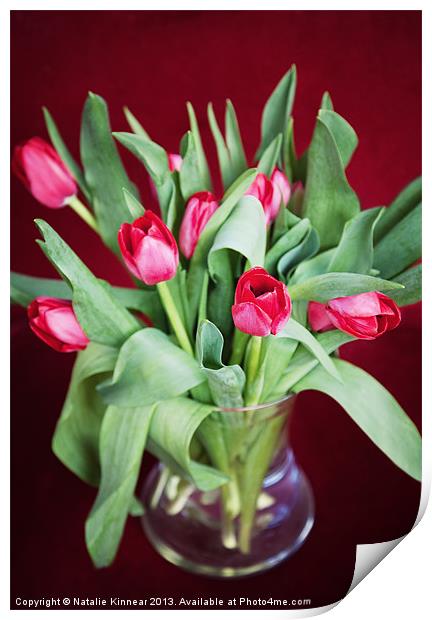 Vase of Tulips Print by Natalie Kinnear