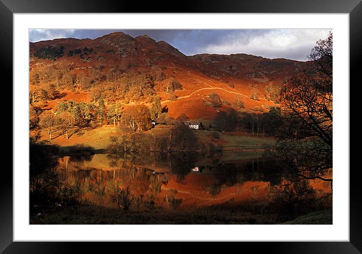 Colourful red Loughrigg Tarn Reflections Framed Mounted Print by Ian Duffield