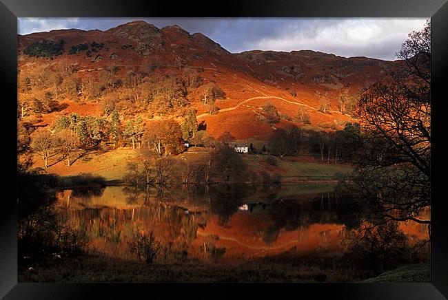 Colourful red Loughrigg Tarn Reflections Framed Print by Ian Duffield