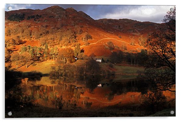 Colourful red Loughrigg Tarn Reflections Acrylic by Ian Duffield