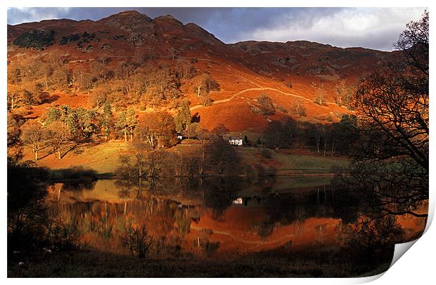 Colourful red Loughrigg Tarn Reflections Print by Ian Duffield