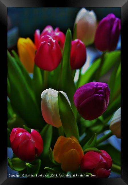 Springtime Bouquet Framed Print by Sandra Buchanan