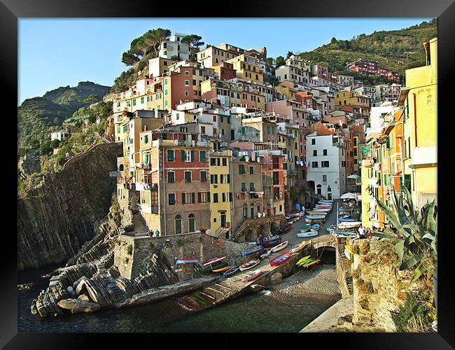 Italy_Liguria_Cinque_Terre_Riomaggiore Framed Print by Donatella Piccone