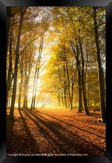 Autumn Splendour Framed Print by Maxim van Asseldonk