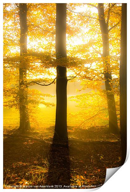 Dreams of autumn Print by Maxim van Asseldonk