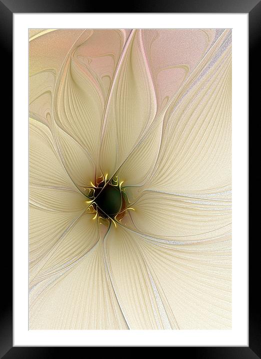 The Lightness of Being Framed Mounted Print by Amanda Moore