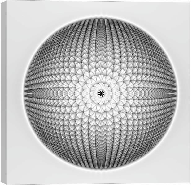 Monochrome Sphere Canvas Print by Colin Forrest