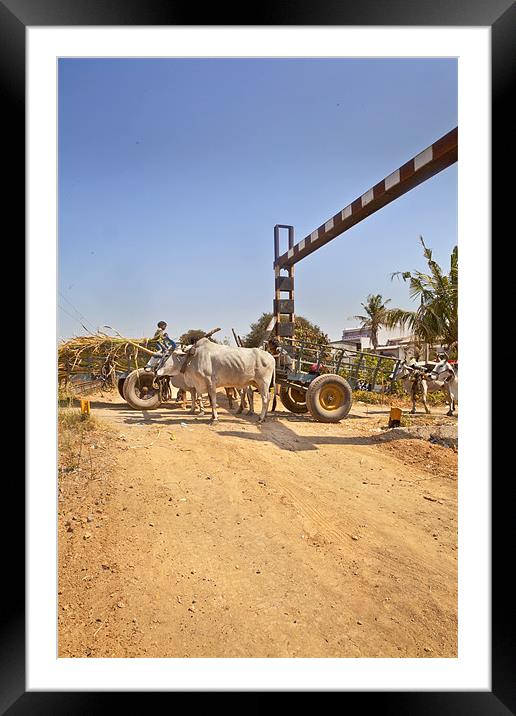 Bullock cart congestion Railway junctions hinte Framed Mounted Print by Arfabita  
