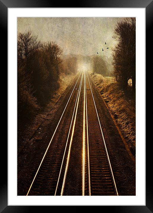 The Long Way Home Framed Mounted Print by Dawn Cox