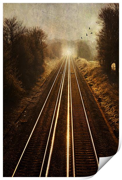 The Long Way Home Print by Dawn Cox
