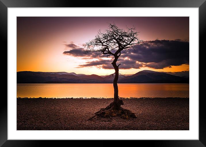 Lone Tree Bay Framed Mounted Print by Fiona Messenger