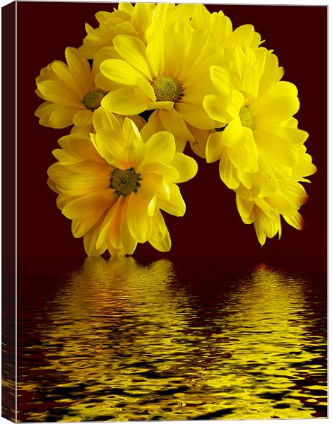 1117-flowers with the reflections Canvas Print by elvira ladocki