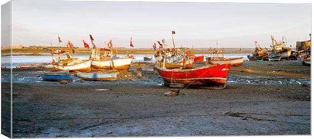 Grounded Boats in Gujarat India Canvas Print by Arfabita  