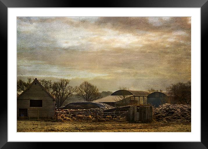 Down on the Farm Framed Mounted Print by Dawn Cox