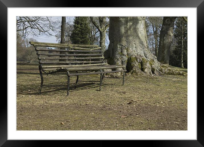 Lonely Chair Framed Mounted Print by Igors Krjukovs