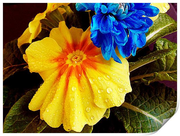 1122-multicolor flowers Print by elvira ladocki