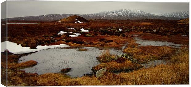 scenic corrour Canvas Print by dale rys (LP)