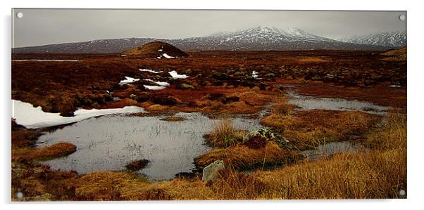 scenic corrour Acrylic by dale rys (LP)