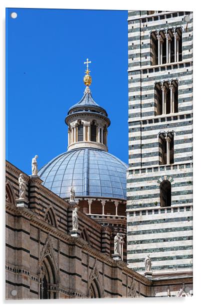 Siena Duomo and Campanile Acrylic by Ian Duffield