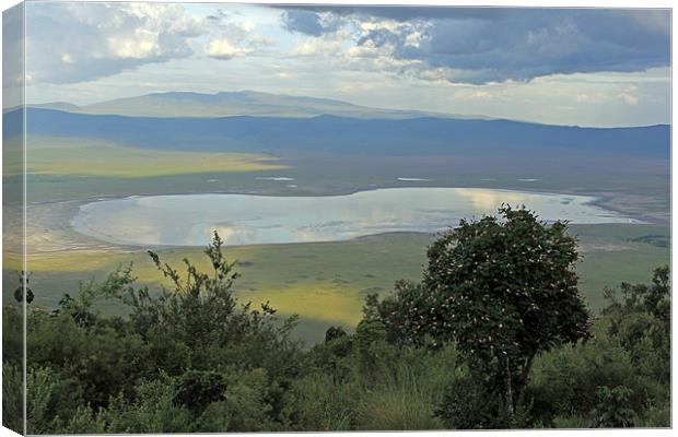 Ngorongoro Crater Canvas Print by Tony Murtagh