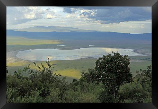 Ngorongoro Crater Framed Print by Tony Murtagh