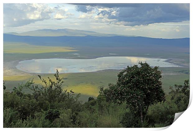 Ngorongoro Crater Print by Tony Murtagh