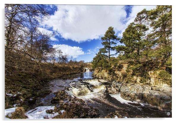 Low Force Acrylic by Northeast Images