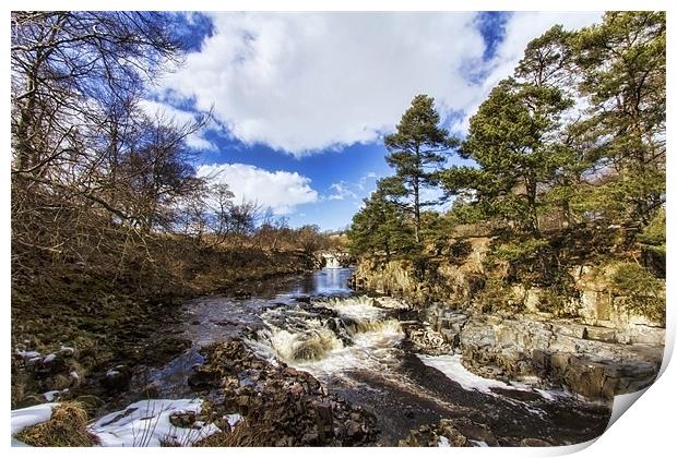 Low Force Print by Northeast Images