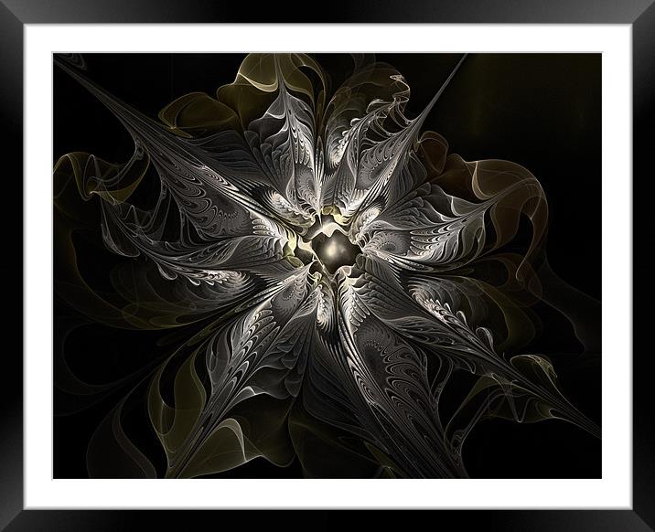 Bronze and Pewter Framed Mounted Print by Amanda Moore