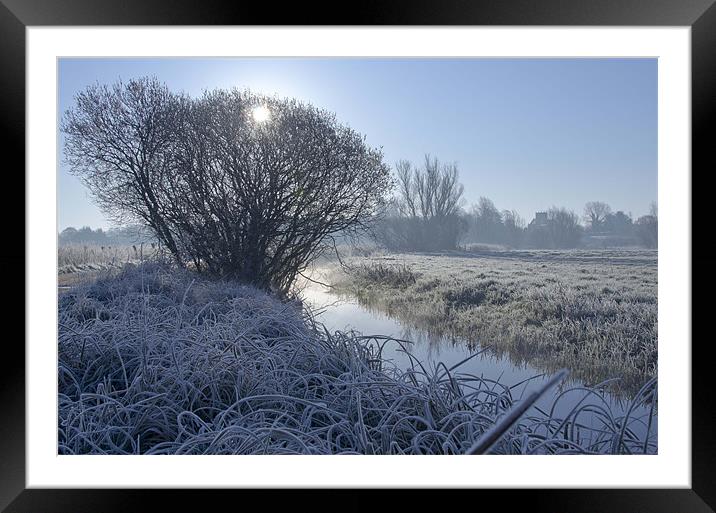 frosty mornings Framed Mounted Print by Paul Nichols