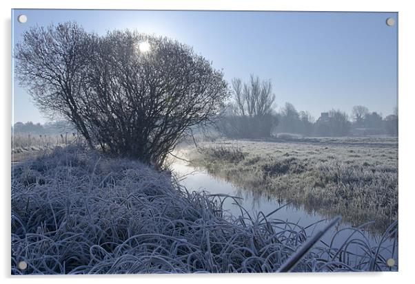 frosty mornings Acrylic by Paul Nichols