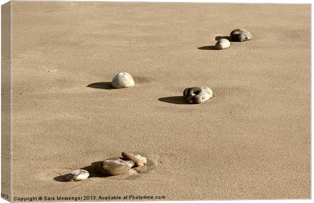 Pebbles in the sand Canvas Print by Sara Messenger