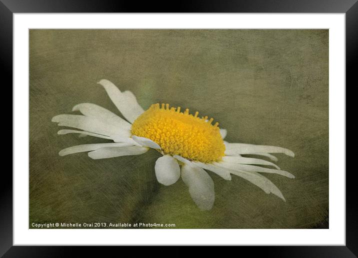 Soft Daisy Framed Mounted Print by Michelle Orai