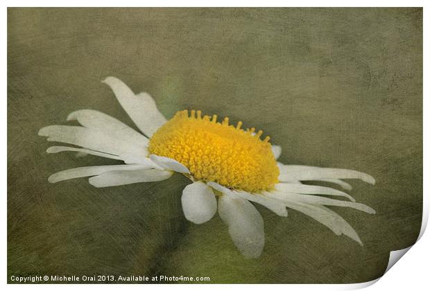 Soft Daisy Print by Michelle Orai