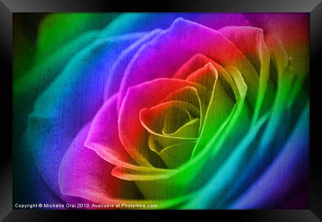 Rainbow Rose Framed Print by Michelle Orai