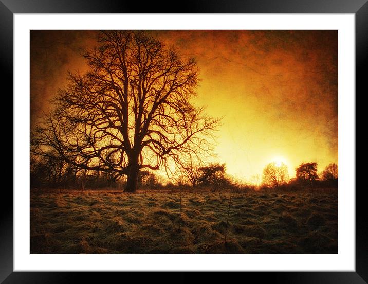 Return Of The Sun Framed Mounted Print by Chris Manfield