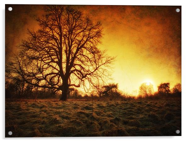 Return Of The Sun Acrylic by Chris Manfield