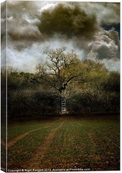 Ladder to the Clouds Canvas Print by Nigel Bangert