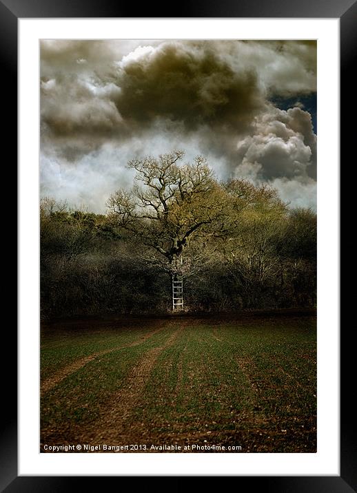 Ladder to the Clouds Framed Mounted Print by Nigel Bangert