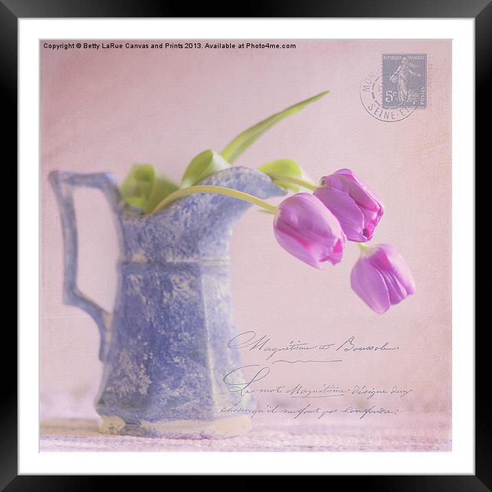 des tulipe Framed Mounted Print by Betty LaRue