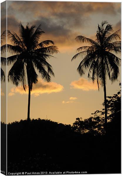 Night Falls in Paradise Canvas Print by Paul Amos