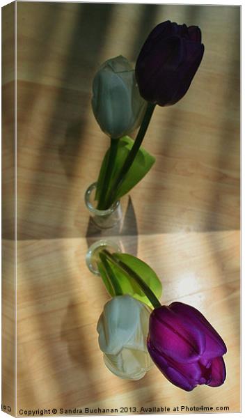Reflection of Tulips Canvas Print by Sandra Buchanan