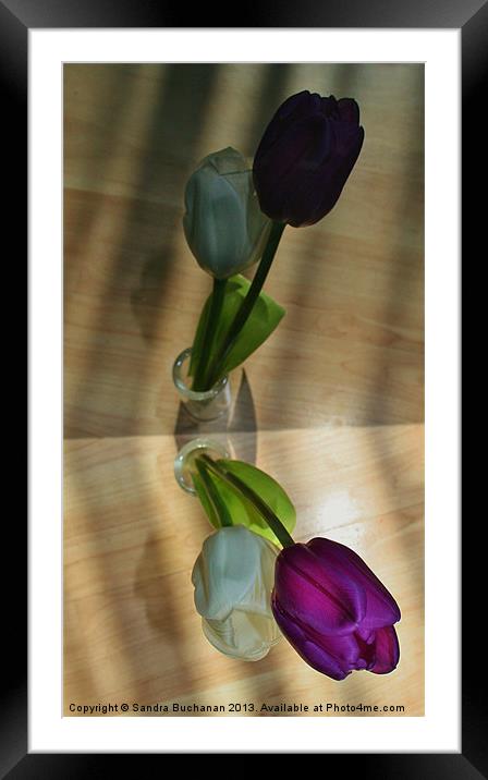 Reflection of Tulips Framed Mounted Print by Sandra Buchanan