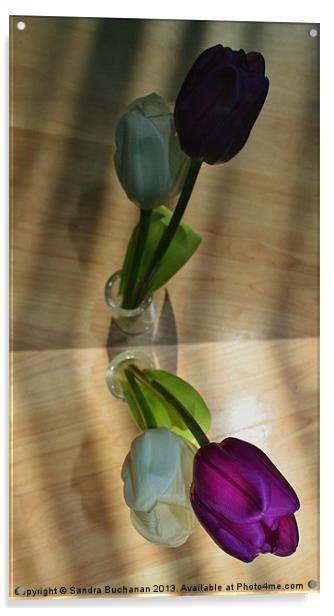 Reflection of Tulips Acrylic by Sandra Buchanan