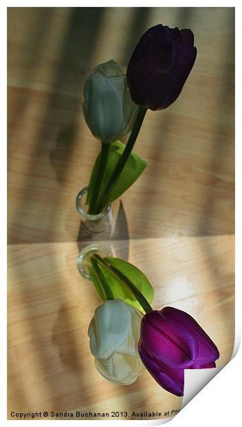 Reflection of Tulips Print by Sandra Buchanan