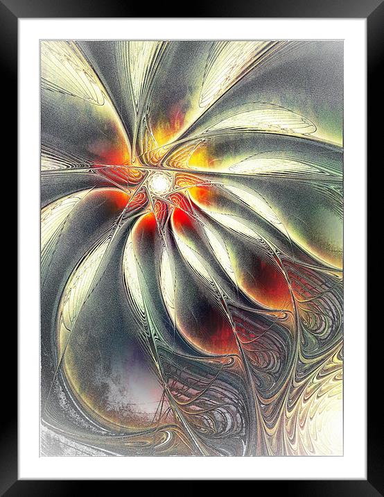 Silver Shiver Framed Mounted Print by Amanda Moore