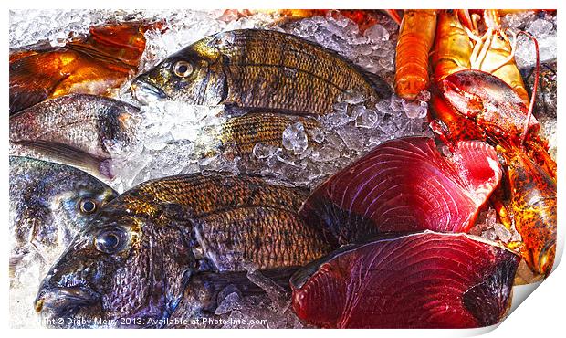 Seafood Print by Digby Merry