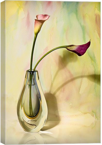 Floral Harmony  Canvas Print by Chuck Underwood