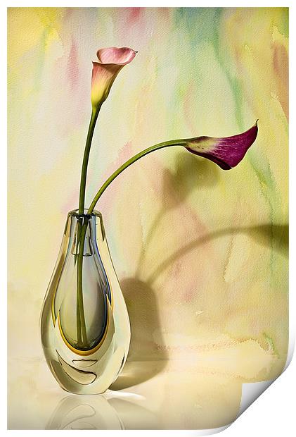 Floral Harmony  Print by Chuck Underwood