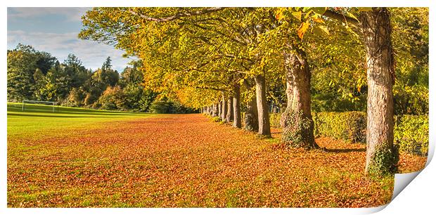 Autumn Gold Headley Print by Clive Eariss